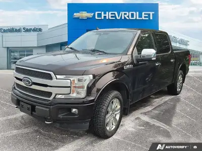 F-150 Platinum Crew Cab The Beyak Automotive Group, comprised of Dryden GM, Sunset Country Ford, For...
