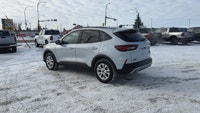 This One Owner 2025 Ford Escape ACTIVE AWD has the 1.5L Ecoboost engine with an 8-Speed Automatic tr... (image 3)