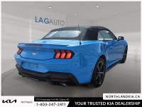 2025 Ford Mustang EcoBoost Premium Odometer is 612 kilometers below market average! Ready for anythi... (image 3)