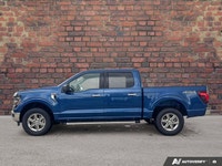 Check out this 2025 Ford F-150 XLT while we still have it in stock! *You Can't Beat the Price with T... (image 1)