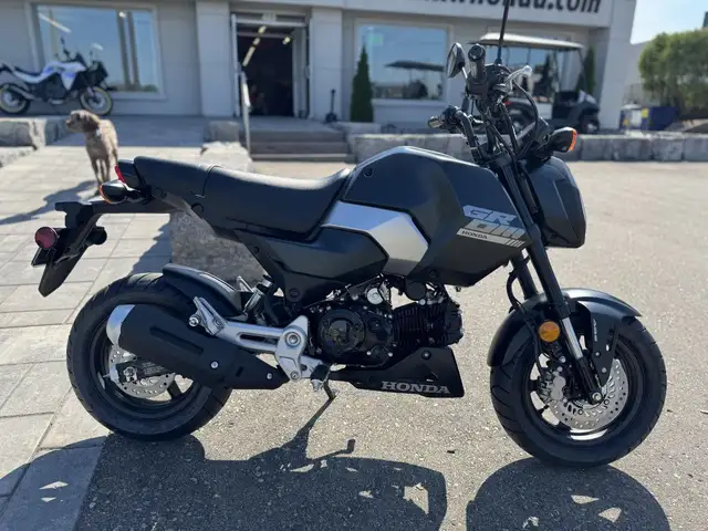 2025 Honda MSX125 Grom ABS in Street, Cruisers & Choppers in Kitchener / Waterloo - Image 3