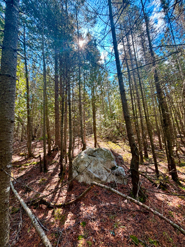 Land for Sale - Lot 12 Lake Huron Dr in Land for Sale in Sudbury - Image 4