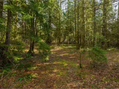 WOW !INCREDIBLE opportunity with this stunning 10.05 ACRES & perfectly flat, usable land! this is wh...