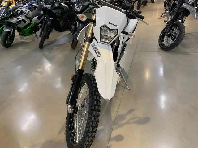 2026 Kawasaki KLX300 KLX300 ON/OFF ROAD DUAL PURPOSE in Street, Cruisers & Choppers in Guelph - Image 4