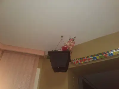 Almost Brand New flower decor pots, View more