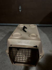 Cat carry cages and accessories