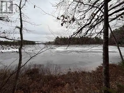 Discover the beauty of lakeside living with these new lots on Rhyno Lake connected directly to Seven...