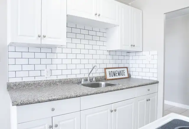 ALL INCLUSIVE - Silverbirch Apts 1BR in Waterloo in Long Term Rentals in Kitchener / Waterloo - Image 3