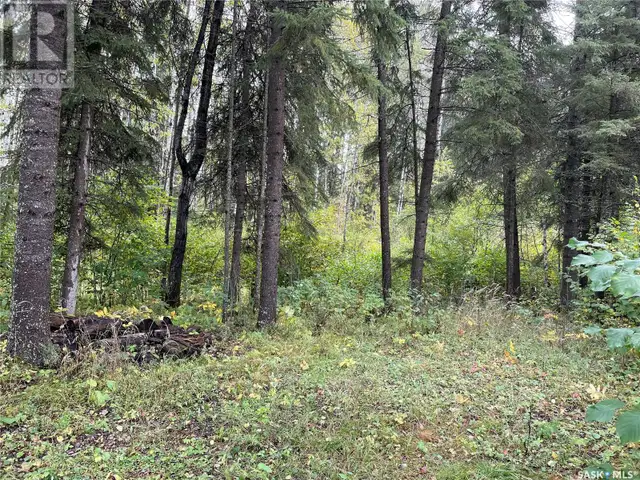 Lot 20 Tranquility DRIVE Big River Rm No. 555, Saskatchewan in Houses for Sale in Meadow Lake - Image 22