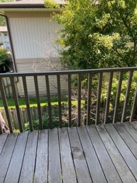 Fully renovated spacious 2 & 3 bedroom townhomes features kitchen with modern features and finishes... (image 5)