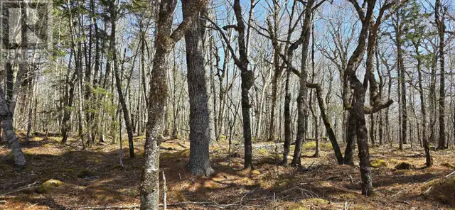 69 Sparkling Spring Lane Labelle, Nova Scotia in Land for Sale in Bridgewater - Image 16