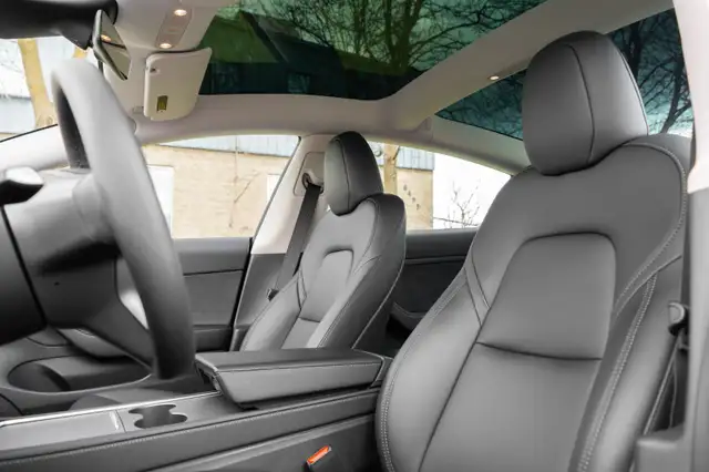 2023 Tesla Model 35919031874407833618