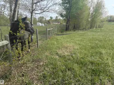 Perfect acreage lot to build a home/garage/small barn. 4 Wire fence all around. Sunny, bright locati...