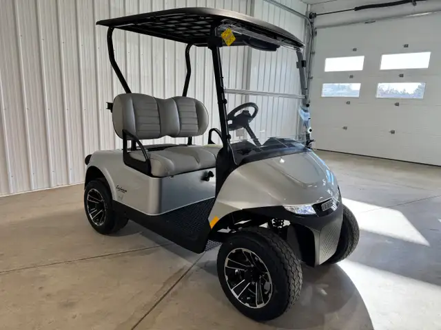 2026 EZGO RXV2 Freedom Platinum in ATVs in Vernon - Image 10