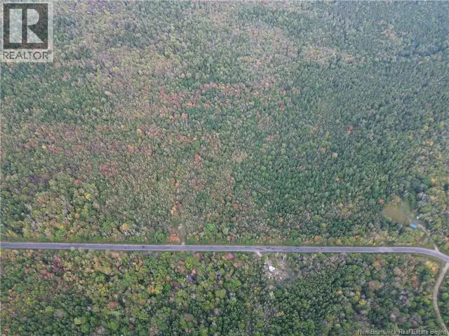 Lot 3 Bronson Sett Road Bronson Settlement, New Brunswick in Land for Sale in Saskatoon - Image 5