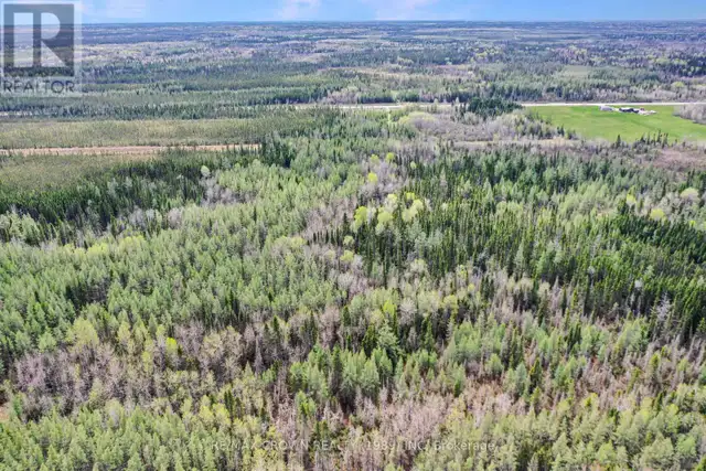 FAUQUIER-STRICKLAND - 319 HIGHWAY 11 Kapuskasing, Ontario in Land for Sale in Kapuskasing - Image 9