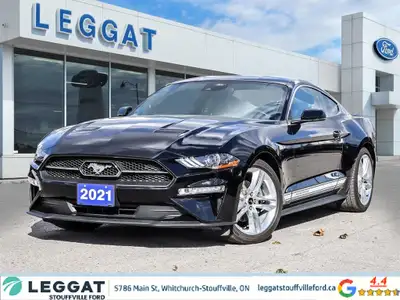 2021 Ford Mustang EcoBoost Premium One Owner | Accident-Free! Turn heads with this 2021 Mustang EcoB...