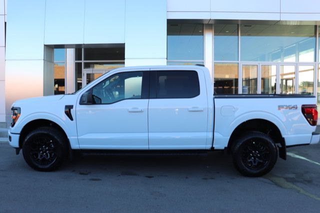 2025 Ford F-150 XLT in Cars & Trucks in Winnipeg - Image 3