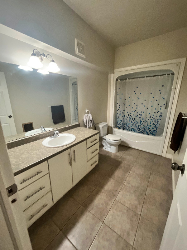 Large 1 Bedroom Apartment Tillsonburg Long Term Rentals Norfolk