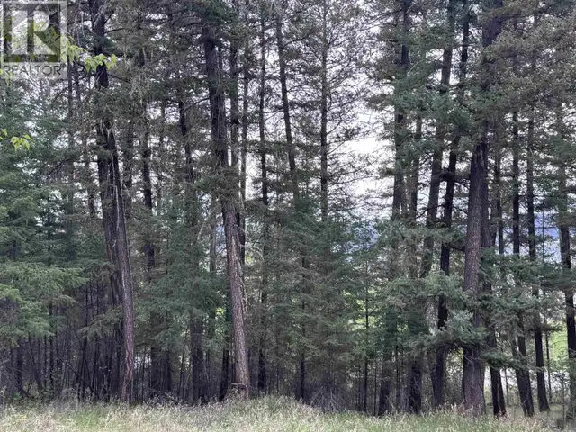 550 DOG CREEK ROAD Williams Lake, British Columbia in Land for Sale in Williams Lake - Image 11