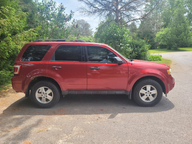 2012 Ford Escape XLT in Cars & Trucks in Oshawa / Durham Region - Image 3