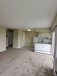 RENOVATED BUILDING & SUITES: Richmond Greater Vancouver Area Preview