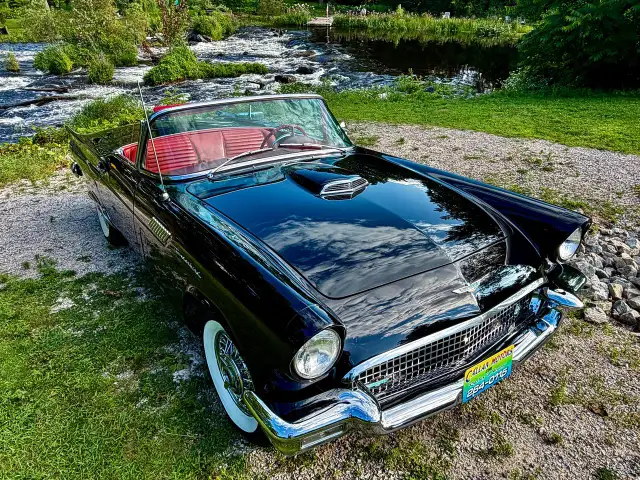 1957 Ford Thunderbird E-Code Tribute | Documented Restoration | 5524894899509760030