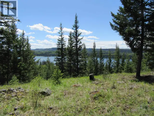 LOT 4 N BONAPARTE ROAD Bridge Lake, British Columbia in Houses for Sale in 100 Mile House - Image 4