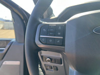 Welcome to Freedom Ford. **WE WILL BEAT ANY FORD DEALER IN THE CITY** The Ford F-Series has been the... (image 8)