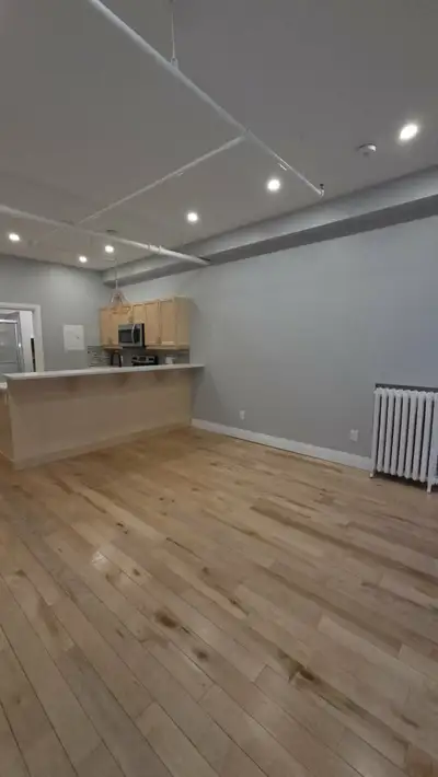 Modern 1 bedroom apartment located downtown. This unit comes with fridge, stove, microwave, dishwash...