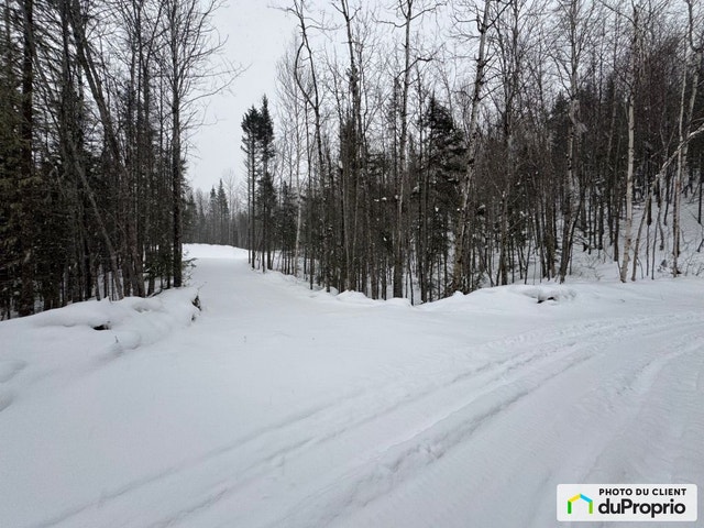 $90,000 - Residential Lot for sale in L'Anse-St-Jean — photo 1