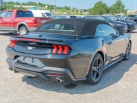Come see this 2025 Ford Mustang I4CV before someone takes it home! *Get Your Money's Worth for this... (image 4)