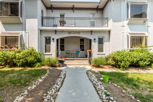 1 Bed 1 Bath | Downtown Kitchener | August in Long Term Rentals in Kitchener / Waterloo - Image 3