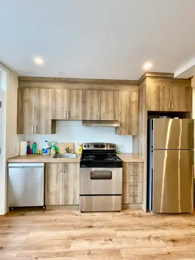 3 1 2-3 1/2-3 et demi-3 and half-1 bed-1 bedroom-1 chambre-Ville Emard-Électroménagers inclus-Applia...