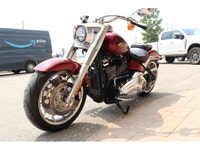 ***FALL PRICING NOW*** MUST SEE, STUNNING LIMITED EDITION (#760 OF 3000 MADE WORLD WIDE) 2023 HARLEY... (image 5)