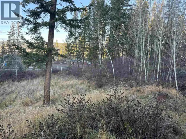 406 RICHARD STREET Williams Lake, British Columbia in Houses for Sale in Williams Lake - Image 14