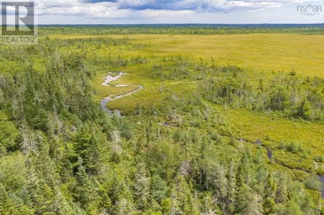 TBD Canada Hill Road Allendale, Nova Scotia in Land for Sale in Yarmouth - Image 6
