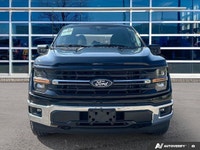 Clean CarFax, Ontario Vehicle, Agate Black Metallic 2025 Ford F-150 XLT SuperCrew 4X4, 10-Speed Auto... (image 8)