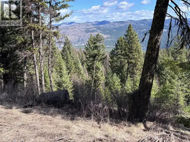 Lot 5 Hulme Creek Road Rock Creek, British Columbia in Land for Sale in Penticton - Image 4