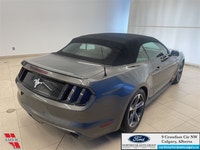 Bluetooth, Rear View Camera, SYNC, Aluminum Wheels, Air Conditioning! Ask us how you can add Extende... (image 4)