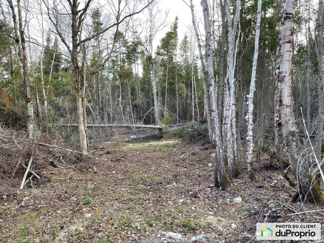 $275,000 - Residential Lot for sale in Alma — photo 3