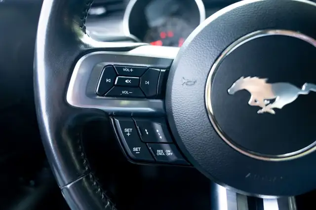 2022 Ford Mustang5919031836449382412