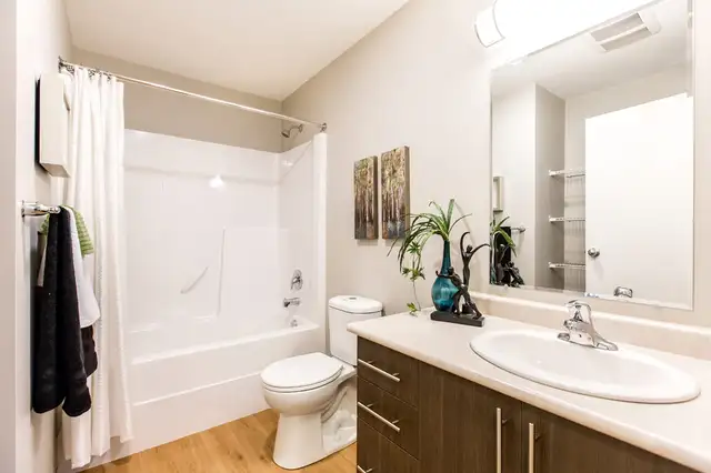 Pet-Friendly One Bedroom One Bath with In-suite Laundry for Rent in Long Term Rentals in Edmonton - Image 15