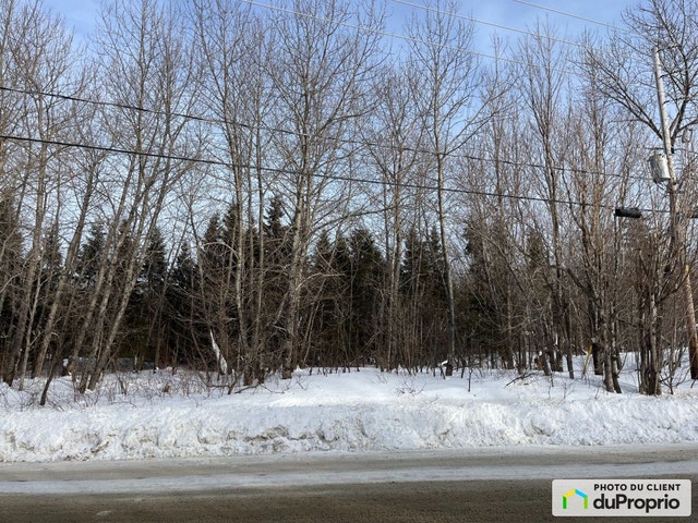 $68,000 - Residential Lot for sale in Val-Racine — photo 3