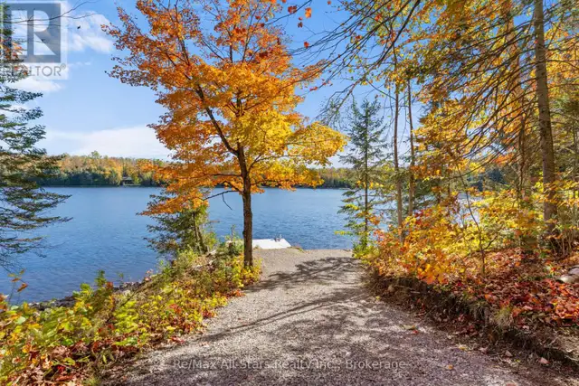 100 RUSSELL DRIVE Trent Lakes, Ontario in Land for Sale in Muskoka - Image 13