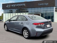 PREVIOUS DAILY RENTAL The 2024 Toyota Corolla LE is the latest evolution of the world's best-selling... (image 2)