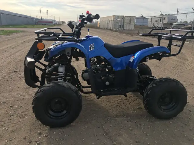 2025 BRAND NEW GIO BLAZER 125 ATV / QUAD / in ATVs in Brandon - Image 17