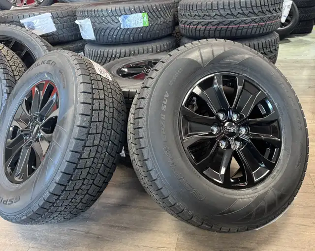 2005–2026 Ford F-150 / Expedition Winter Rim &  Tires in Tires & Rims in Edmonton - Image 3