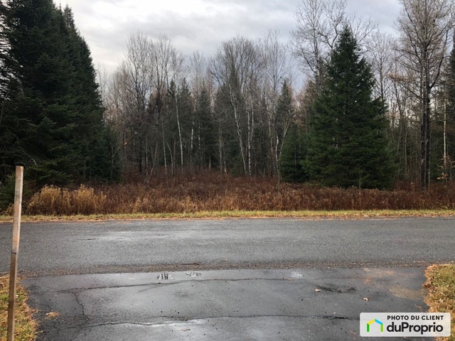 $39,900 - Residential Lot for sale in St-Damien — photo 3