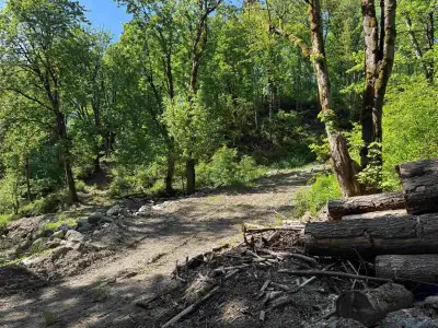 Court Order Sale, 18.69 acres, vacant land, house burned down. RU-3 zoning, make your offer. (id:244...